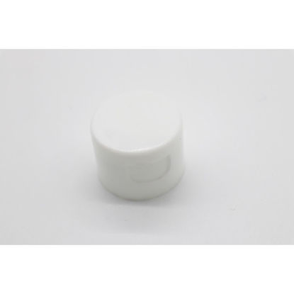 Picture of 24-410 White PP Smooth Top, Smooth Sided Flip Top Cap, 5 mm Orifice
