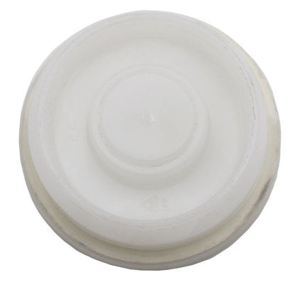 Picture of 2" Natural HDPE Screw Cap w 3/4" Threaded Reducer w/ EPDM Gasket
