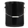 Picture of 5 Gallon Black Straight Side Steel Pail, No Bead, Rust Inhibited Lining,  w/ Black Lug Cover, Cover in Place
