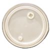 Picture of 55 Gallon Fiber Open Head Drum, 6 mil LLDPE Lined, Kraft, HDPE Natural Plastic Cover, 2" & 3/4" Fittings, Loc Ring